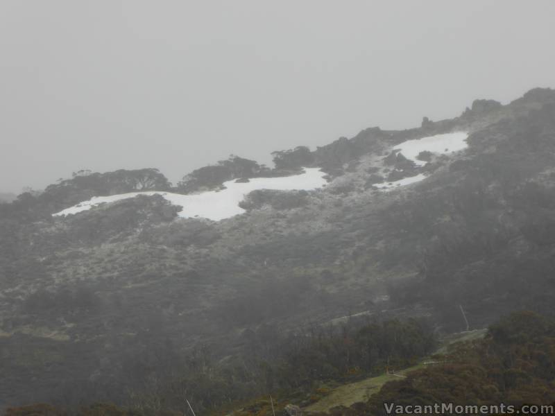 Light dusting above Kareela last week