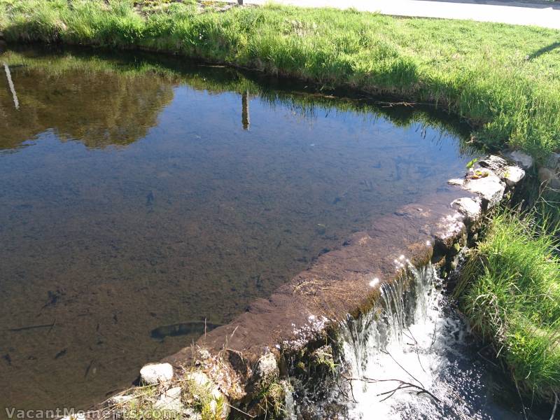 A lovely flowing pond surrounded by lush greens near the Village Green