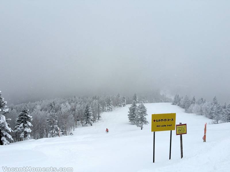 Fresh pow on deserted runs (TraKtorman)