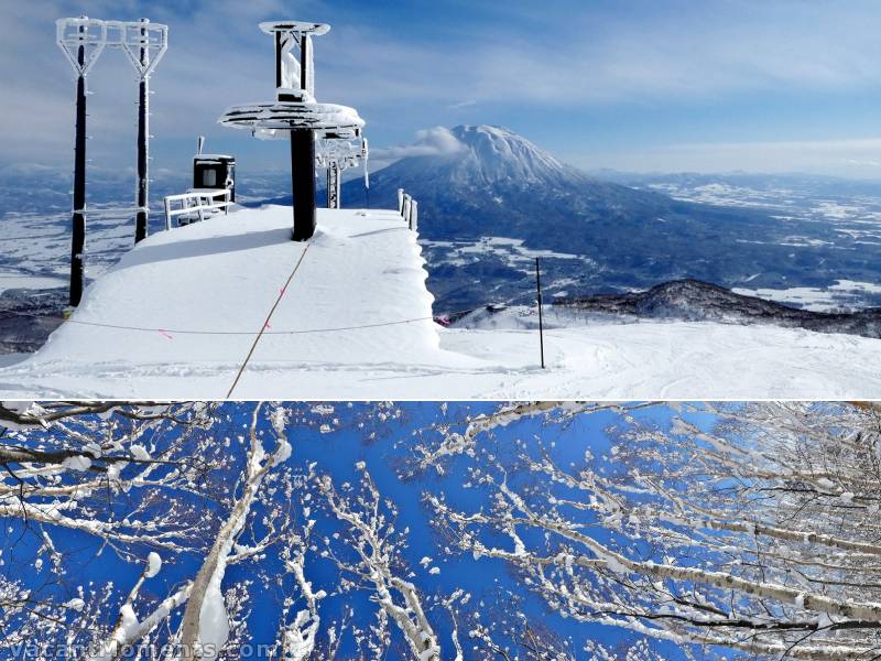 Bluebird day in Niseko (Rosco)