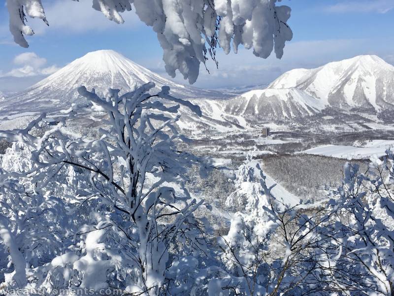 Fresh snow and blue sky over Rusutsu (Peter)