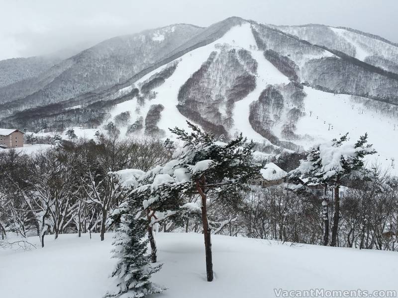 TraKtorman has moved onto another resort on Honshu