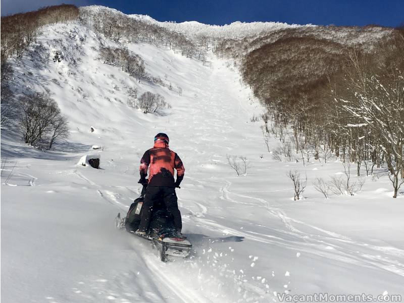 In search of untracked