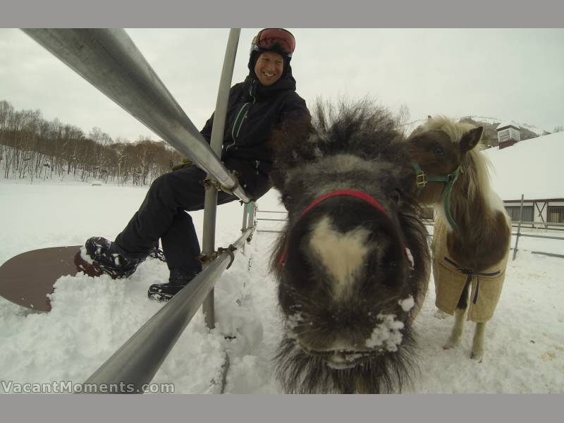 Peter getting the weather forecast from the horse's mouth ;-)