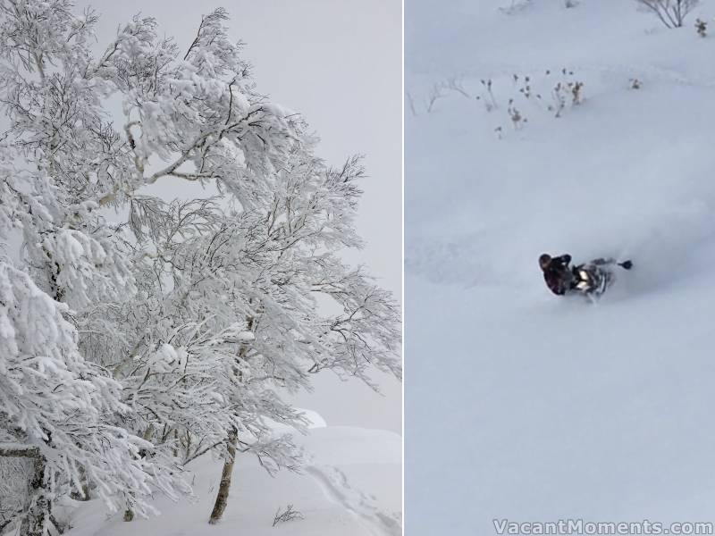 Fresh snow means fresh places to go