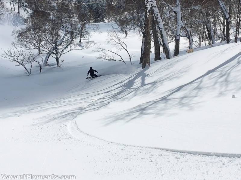 Fresh tracks to lay