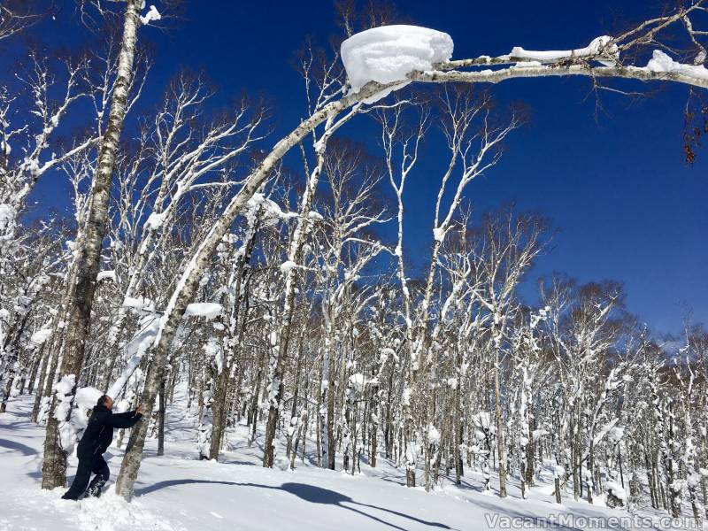 Spring-time is snow bomb time