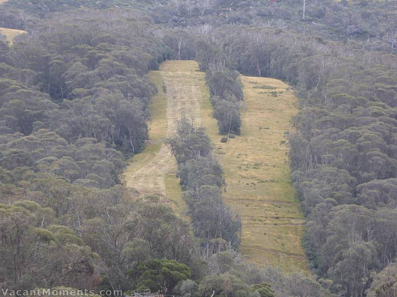 Slope grooming Thredbo style - High Noon