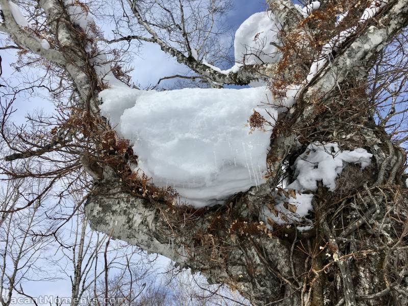 The thaw in Japan is underway