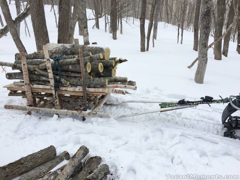 A novel use for old skis