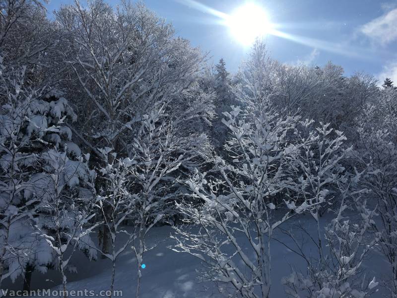 A beautiful morning dawns with an unexpected fresh layer of snow