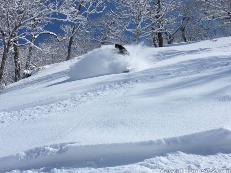 Awesome powder under blue skies