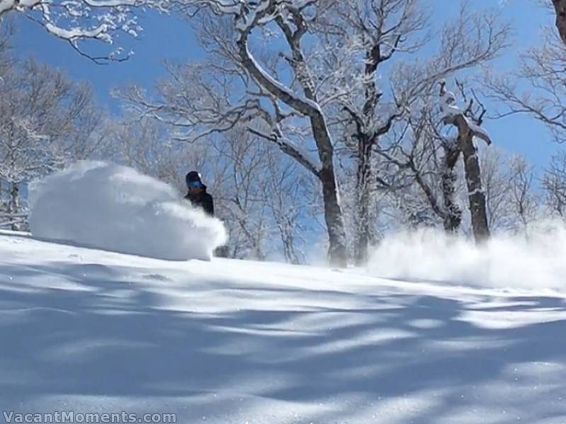 No one around - just clear skies and light powder