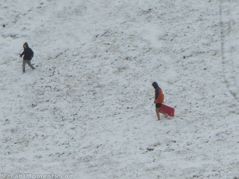 Tobogganing in shorts on Lower Sundance in Thredbo in April