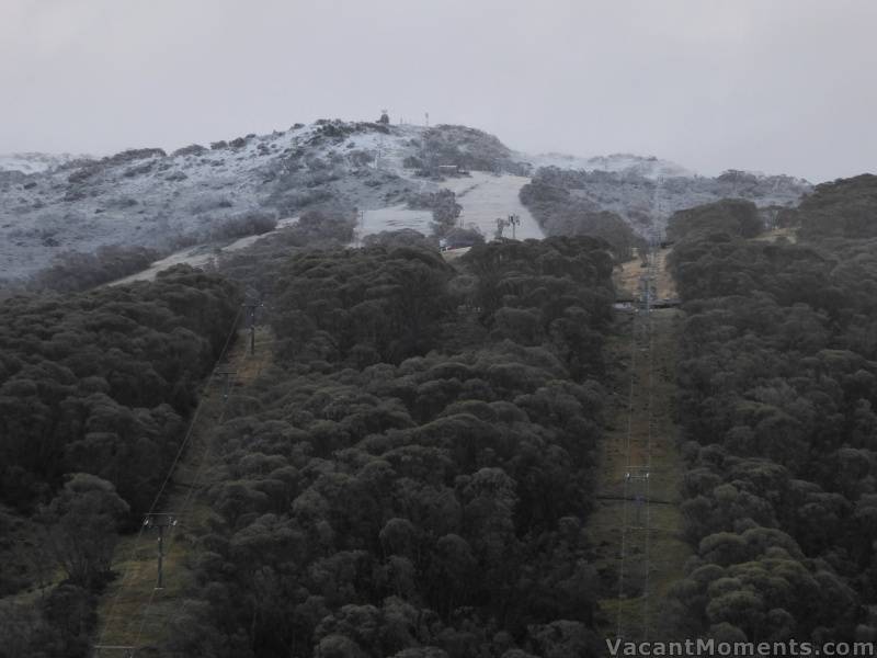 Yesterday evening when the cloud broke to reveal snow down to BunnyWalk